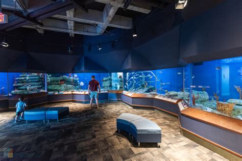 South Carolina Aquarium Charleston