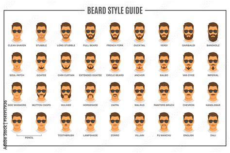 Vettoriale Stock Beard Styles Guide Facial Hair Types Vector