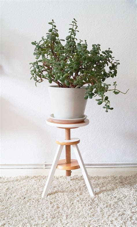 20 indoor house plants that thrive in shade. Elegant Plant Stand for Indoor Houseplant Decor Ideas in ...
