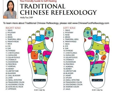 Chinese Reflexology Chart Reflexology Foot Chart Foot Reflexology