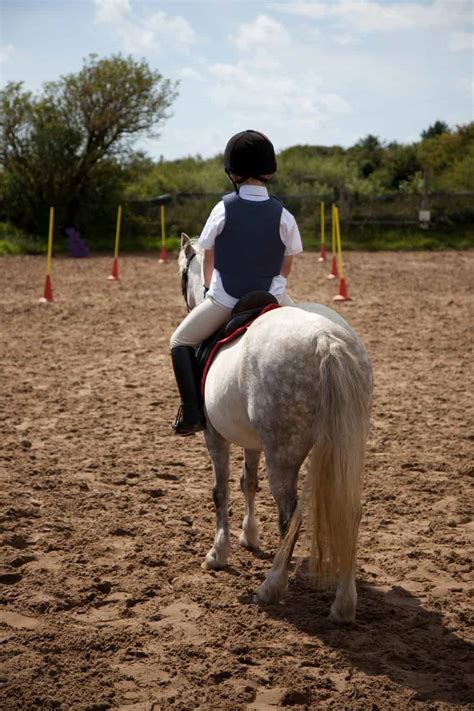 11 Different Horseback Riding Styles To Try