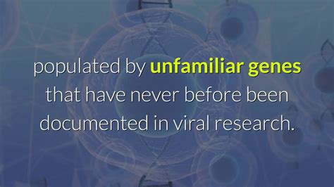 YARAVIRUS New Virus Found In Brazil YouTube