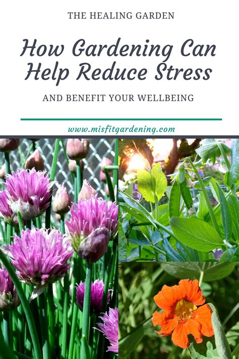 Reduce Stress Bygardening Misfit Gardening