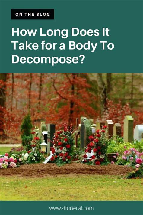 How Long Does It Take For A Body To Decompose Answered Body