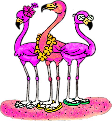 Download High Quality Flamingo Clipart Beach Transparent Png Images