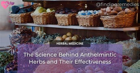 the science behind anthelmintic herbs and their effectiveness