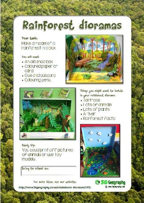 An Advertisement For Rainforest Dioramass With Images Of Trees And