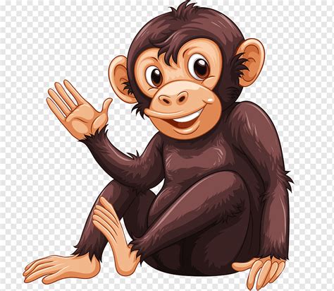 Primate Chimpancé Simio Gorila Curioso Mamífero Animales Mano Png