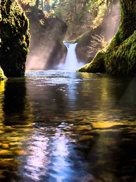 Free Download Live Animated Moving Waterfall 1920x1080 For Your