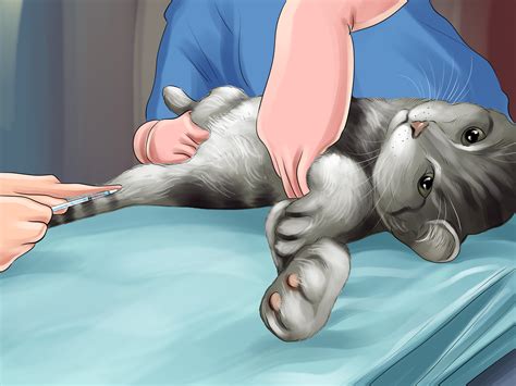 It can harm part of the lung due to restricted blood flow, reduce oxygen levels in the blood, and affect other organs too. How to Diagnose and Treat Blood Clots in Cats: 11 Steps