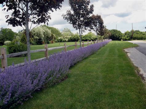Compare different styles of rail fence designs by maureen gilmer. 21 Perfect Examples Of Stylish Split Rail Fence Landscape Ideas - Home, Family, Style and Art Ideas