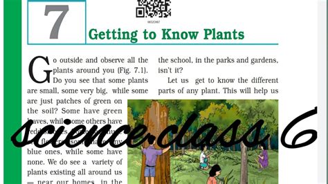 Ncert Science Class 6 Chapter 7 Getting To Know Plants Youtube