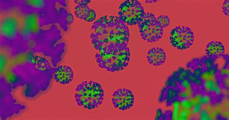 Study Yes Half Of Coronavirus Carriers Show No Symptoms