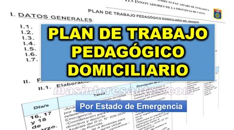Plan De Trabajo Pedagógico Domiciliario Del Docente En Estado De Emergencia