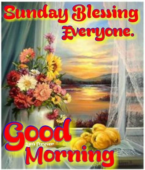 Sunday Blessing Everyone Good Morning Pictures Photos And Images For