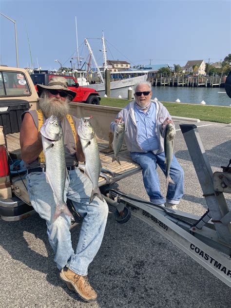 Charter Boats Fishing Reports And News Ocean City Md Tournaments