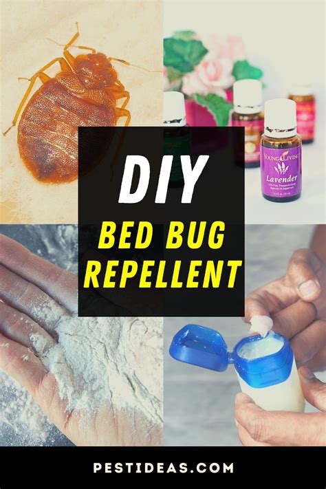 Diy Bed Bug Spray That Works Make Your Own Natural Bug Repellent