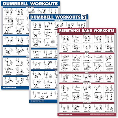 Vive Dumbbell Workout Poster Ph