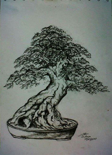 Ide Populer Sketsa Gambar Bonsai Gambar Pohon
