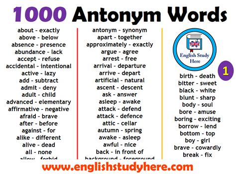 1000 Opposite Antonym Words List English Study Here
