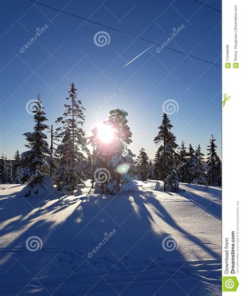 Winter Wonderland Sunny Morning And A Beautiful Blue Sky