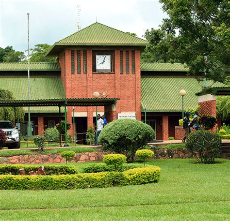 Top 10 Best Universities In Malawi