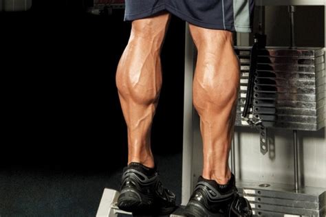 The Best Exercises For The Calf Muscles And The Features Of Calf
