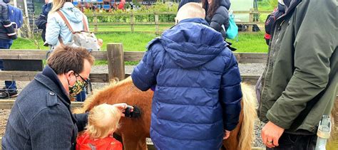 Green Dragon Eco Farm Bucks Child Friendly Days Out Keyne To Explore