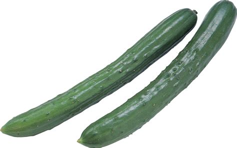 But is a cucumber a fruit or a vegetable? Zucchini clipart vegetable, Zucchini vegetable Transparent ...