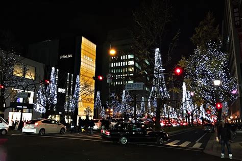 Cateaclysmic Christmas In Osaka