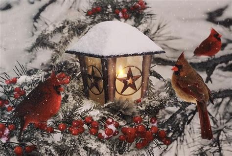 New Winter Christmas Snow Red Cardinal Star Lantern Lighted Lamp Wall