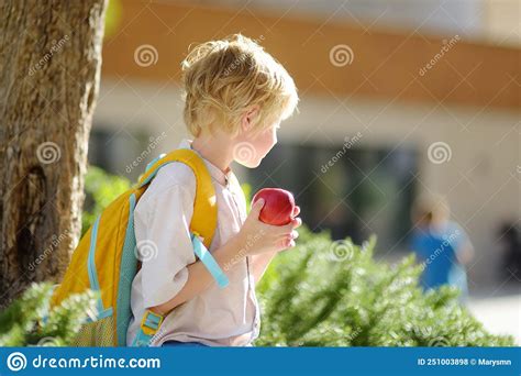 Little Schoolboy In A First Day At New School Shy Alone Child In A