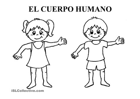 Cuerpo Humano Para Colorear