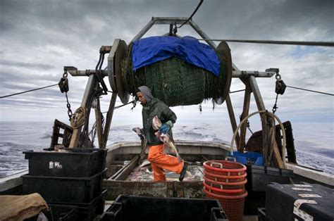 Northeastern Fishermen Struggling With Warming Waters