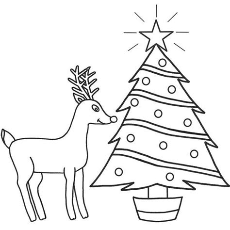 Free printable reindeer coloring pages for kids rudolph coloring. Rudolph the Red Nosed Reindeer and Christmas Tree Coloring ...