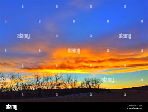 Leafless Trees Hi Res Stock Photography And Images Alamy