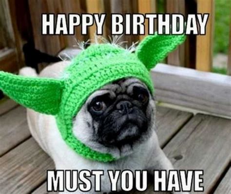 Happy Birthday Dog Meme Happy Birthday Cupcakes Birthday Wishes Funny
