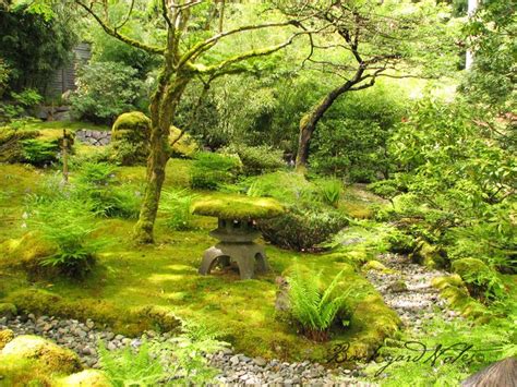 70 Best Moss Gardens Images On Pinterest Moss Garden Fairy Gardens