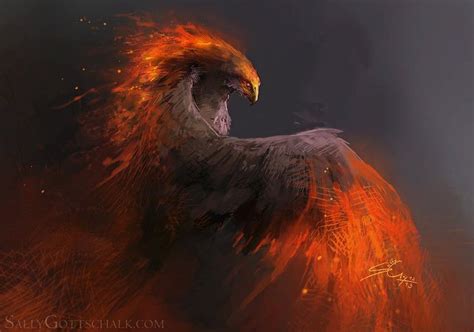 Artstation Fire Bird Sketch Sally Gottschalk In 2021 Creature