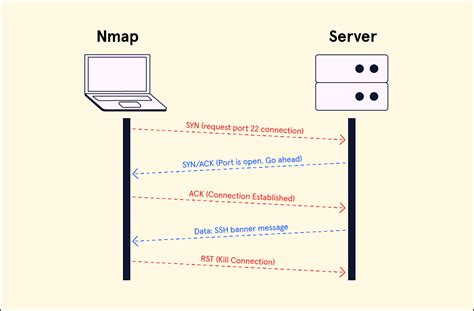 Cybersecurity Nmap Tcp Connect Scan Codecademy