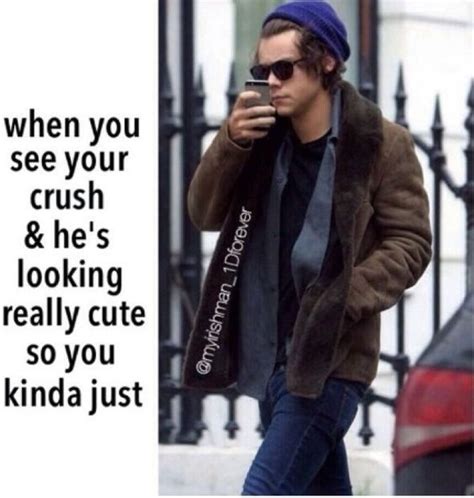 23 Funny Relatable Crush Memes That Make Laugh Rated