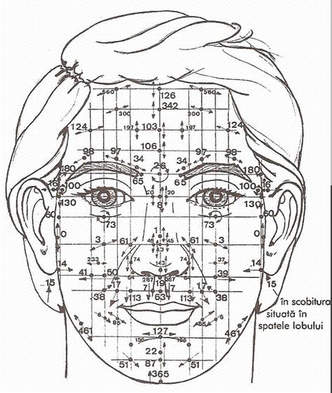 les principaux diagrammes des zones et des points de réflexologie faciale dien cham vu au