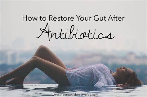 How To Restore Your Gut After Antibiotics The Organic Beauty Good