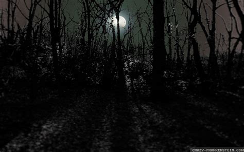 Creepy Forest Wallpapers Wallpaper Cave