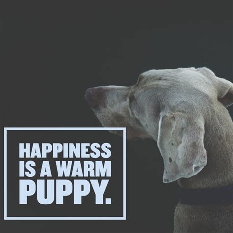 Happiness is a warm puppy is, essentially, a way of saying happiness is simple. satisfaction is a moment that you experience with whatever your warm puppy is. Dog Quotes: 25 Sayings Only Dog Lovers Will Understand