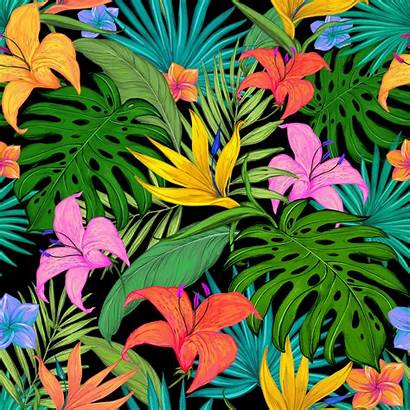 Tropical Pattern Flowers Colorful Leaves Palm Background