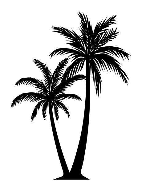 Palm Tree Silhouette Detail Illustration Black And White 4448870 Vector