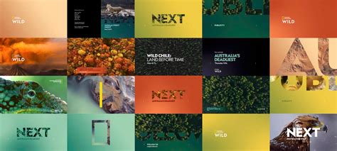 Nat Geo Wild Rebranding On Behance