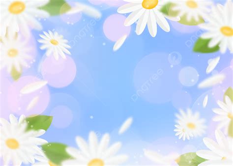Spring Daisy Flower Light Effect Background Desktop Wallpaper