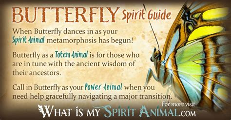 Butterfly Symbolism And Meaning Spirit Totem And Power Animal